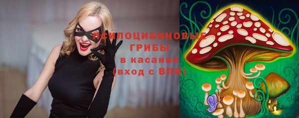 скорость Зеленодольск